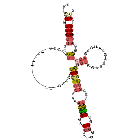 secondary structure