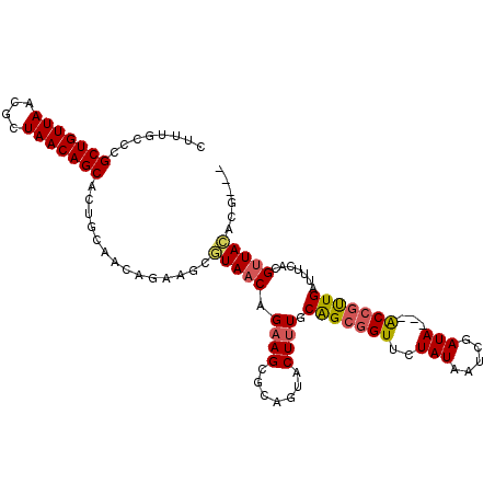 secondary structure