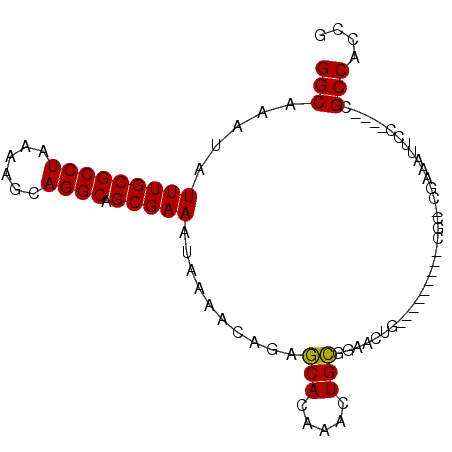 secondary structure