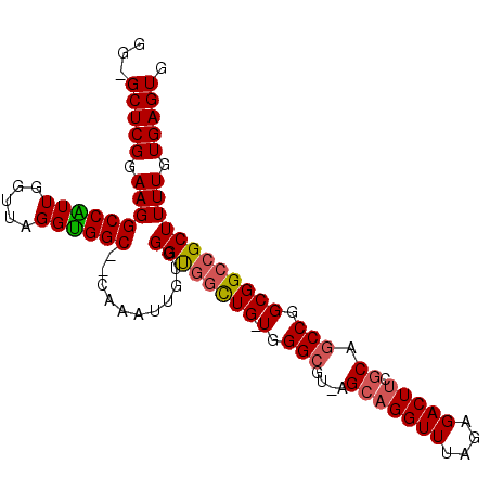 secondary structure