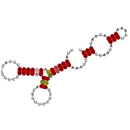 secondary structure