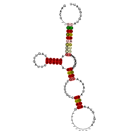 secondary structure