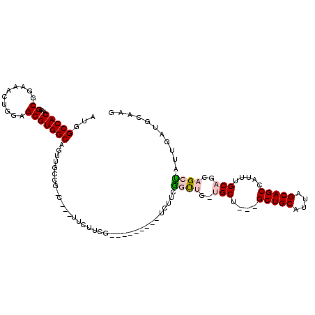 secondary structure
