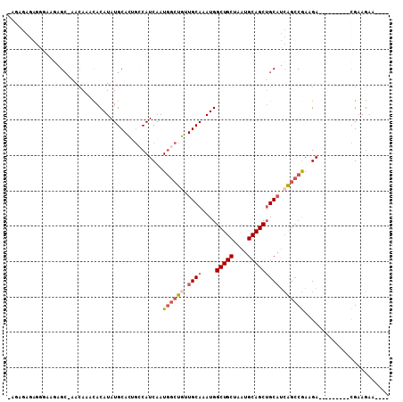 dotplot