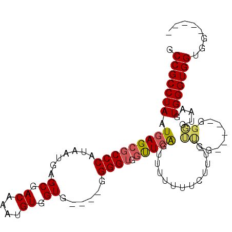 secondary structure