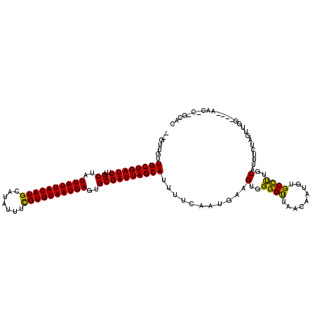 secondary structure