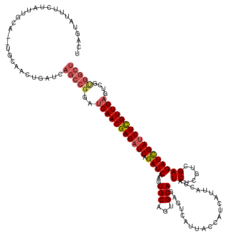secondary structure