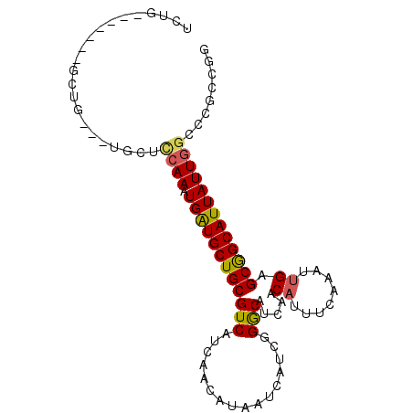 secondary structure