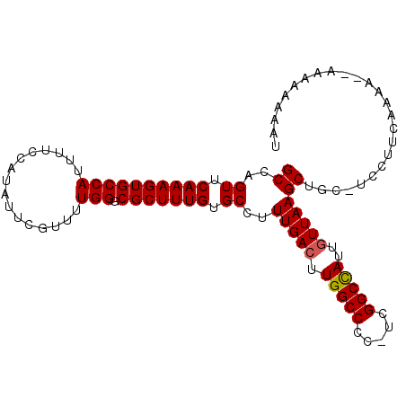secondary structure
