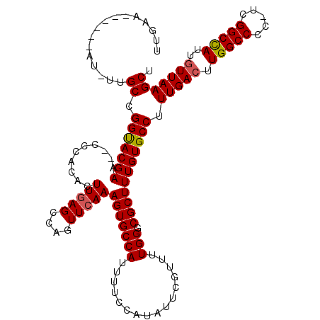 secondary structure