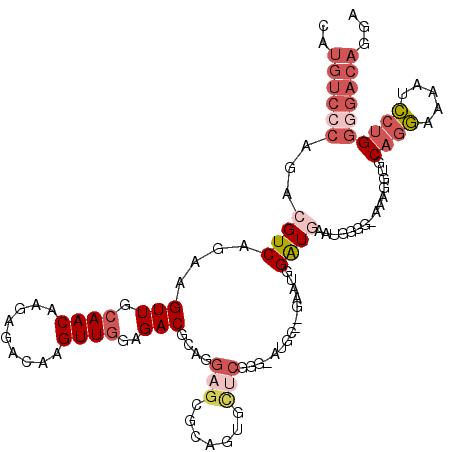 secondary structure