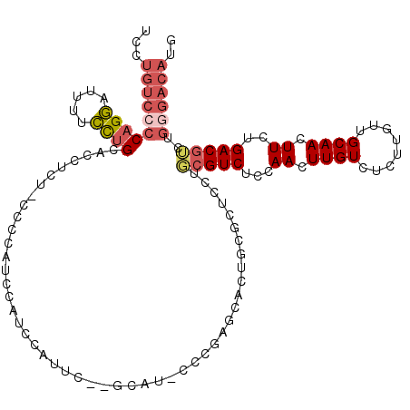 secondary structure