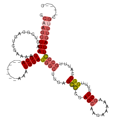 secondary structure