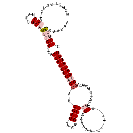 secondary structure