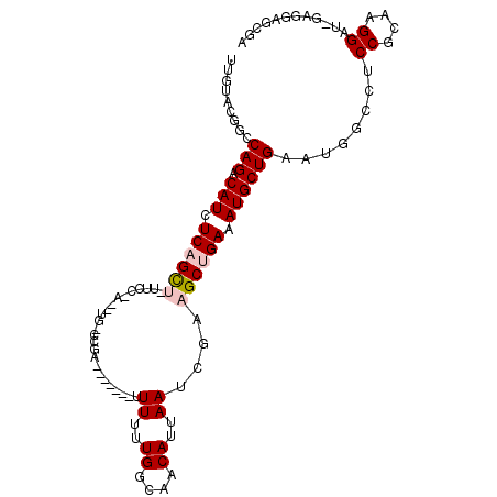 secondary structure