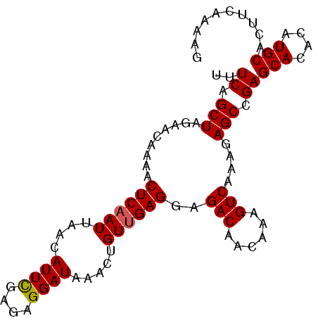 secondary structure