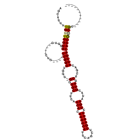 secondary structure