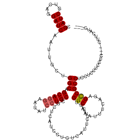 secondary structure