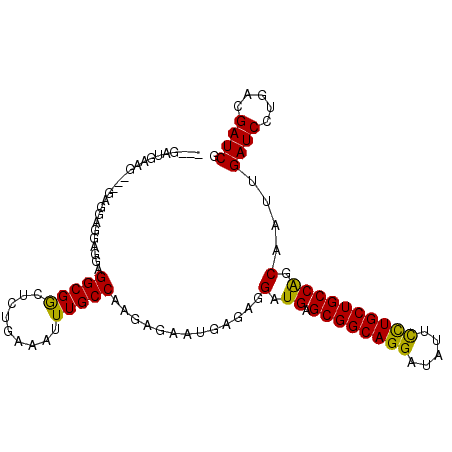 secondary structure