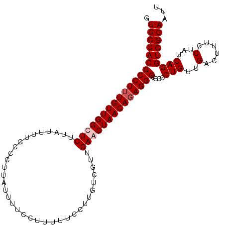 secondary structure