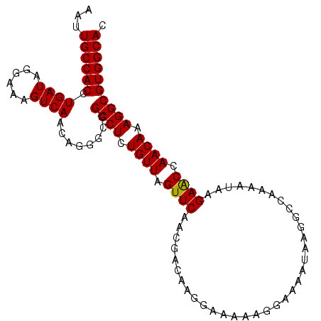 secondary structure
