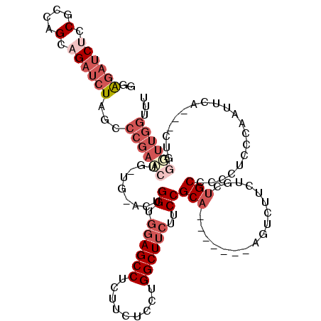 secondary structure