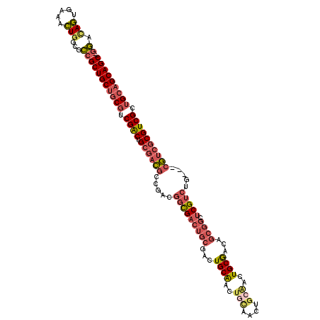 secondary structure