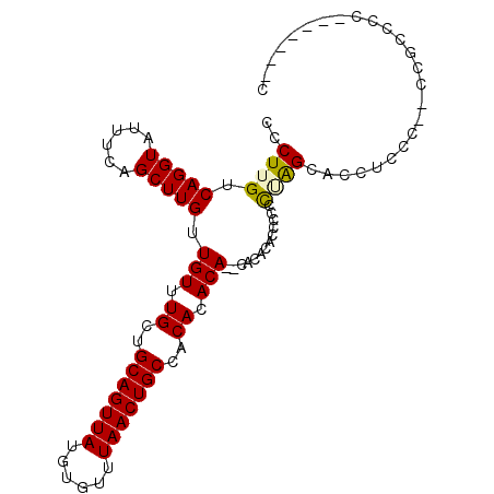 secondary structure