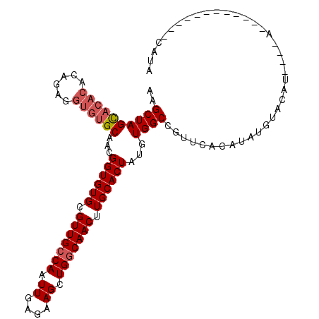 secondary structure