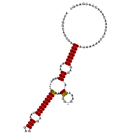 secondary structure