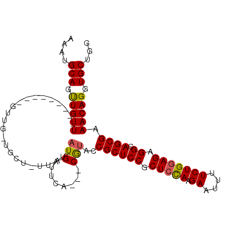 secondary structure