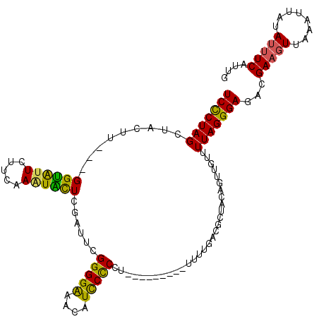 secondary structure