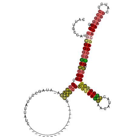 secondary structure