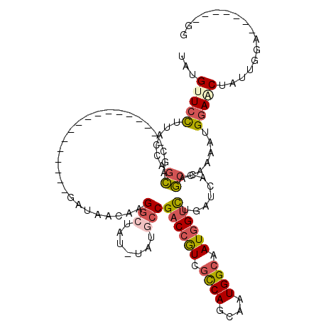 secondary structure