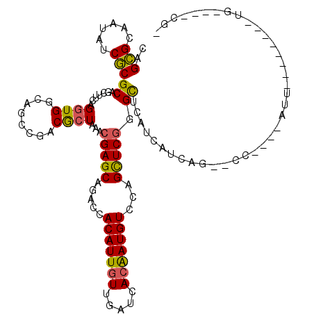 secondary structure