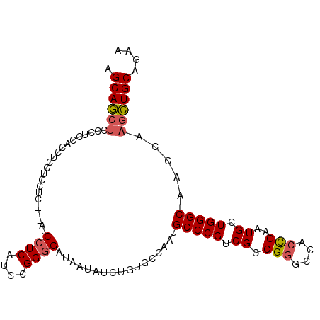 secondary structure