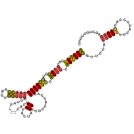 secondary structure