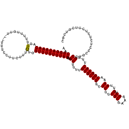 secondary structure