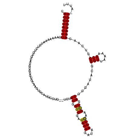 secondary structure