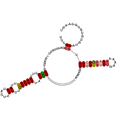 secondary structure