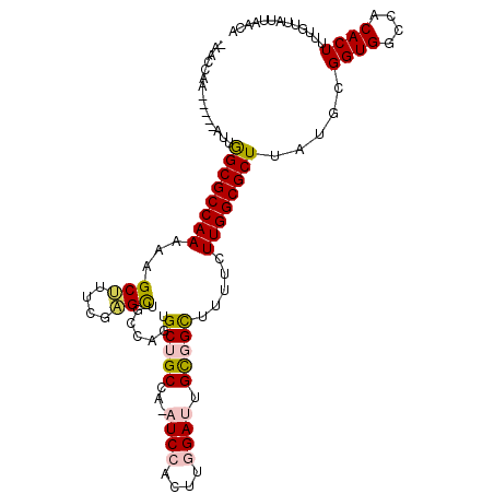 secondary structure