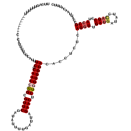 secondary structure