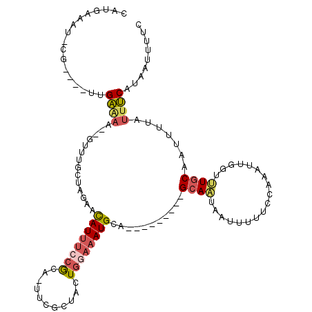 secondary structure