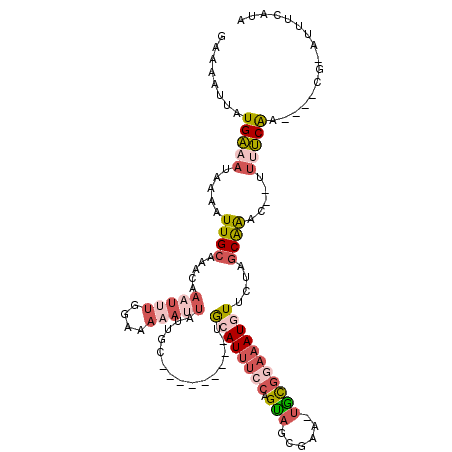 secondary structure