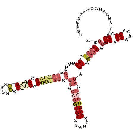secondary structure