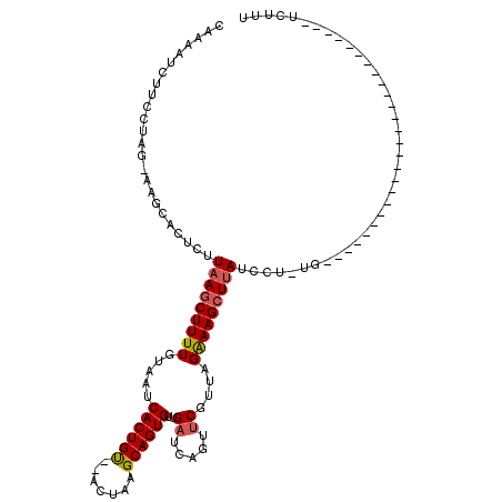secondary structure