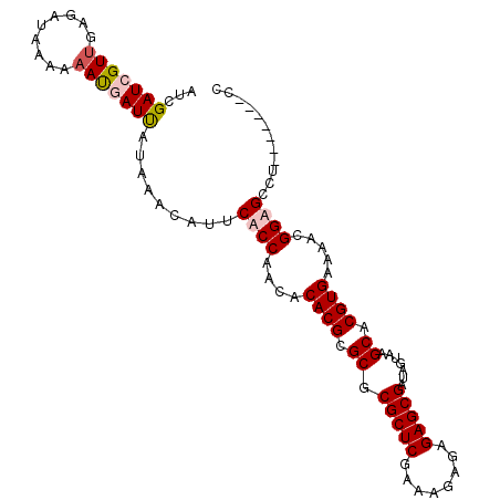 secondary structure