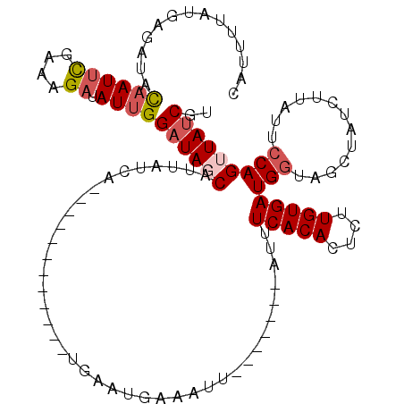 secondary structure