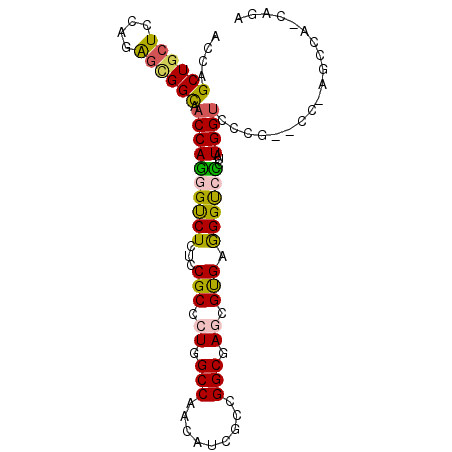 secondary structure