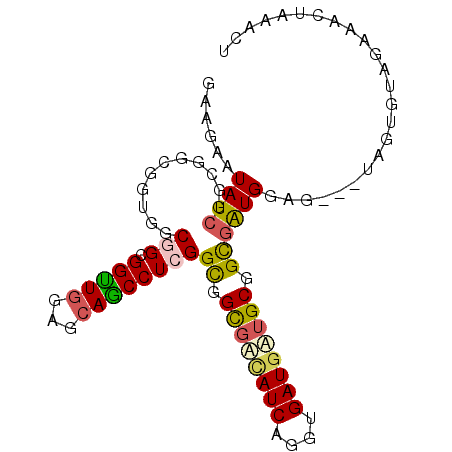 secondary structure